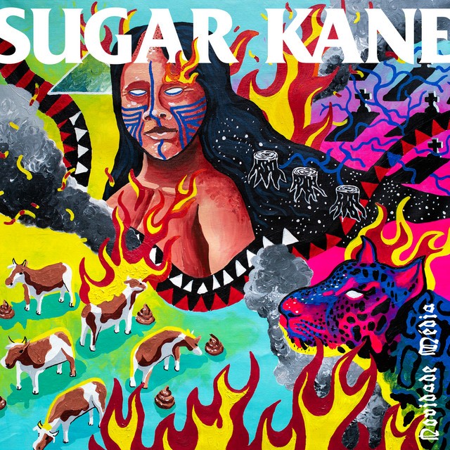 Sugar-Kane-Novidade-Média-Capa - Melhores Capas de Discos Brasileiros de 2021