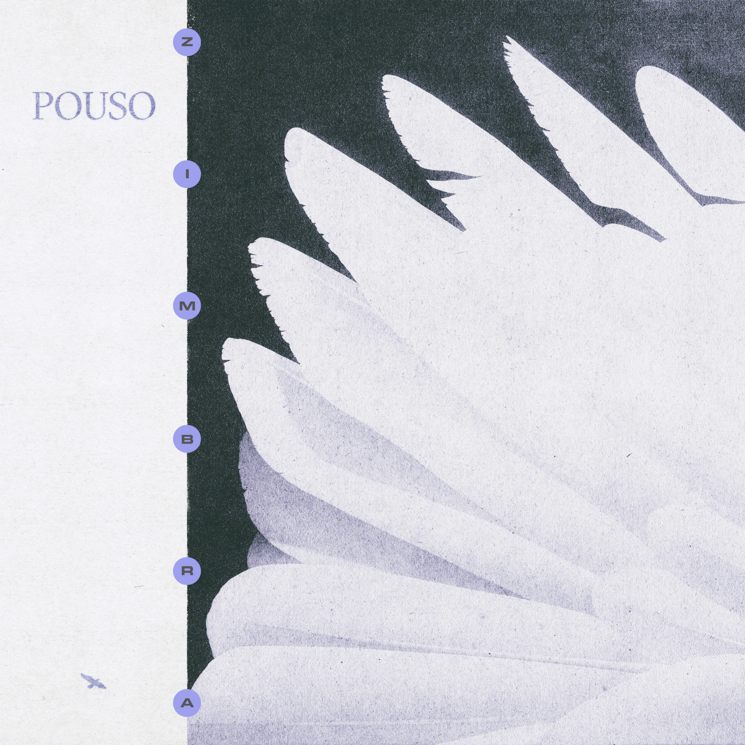 Zimbra "Pouso" (2024) - CAPA