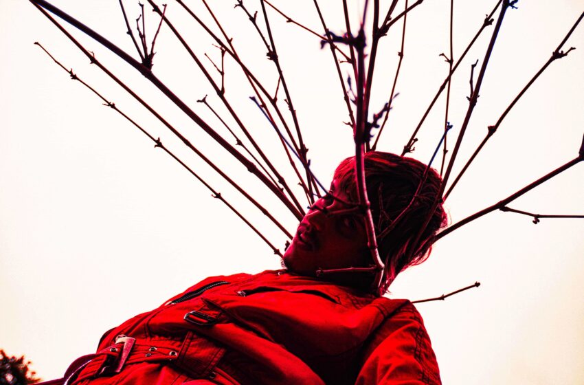  25 discos nacionais fora do hype do primeiro semestre (2025)