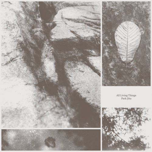 Park Jiha All Living Things - Os Melhores Discos de 2025
