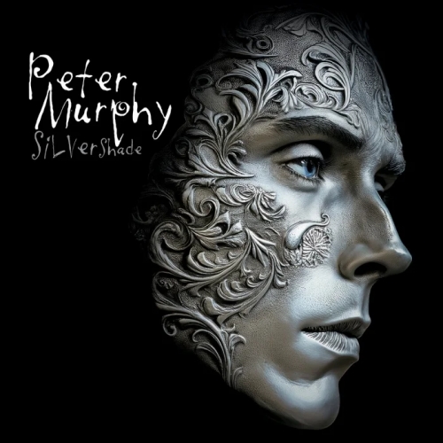Peter Murphy Silver Shade - Os Melhores Discos de 2025
