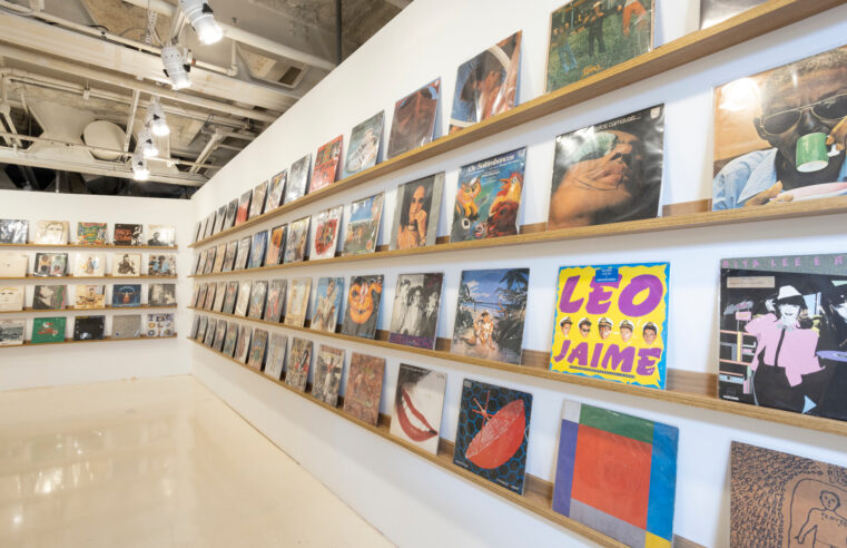 A experiência de ver e ouvir: capas de discos como arte brasileira