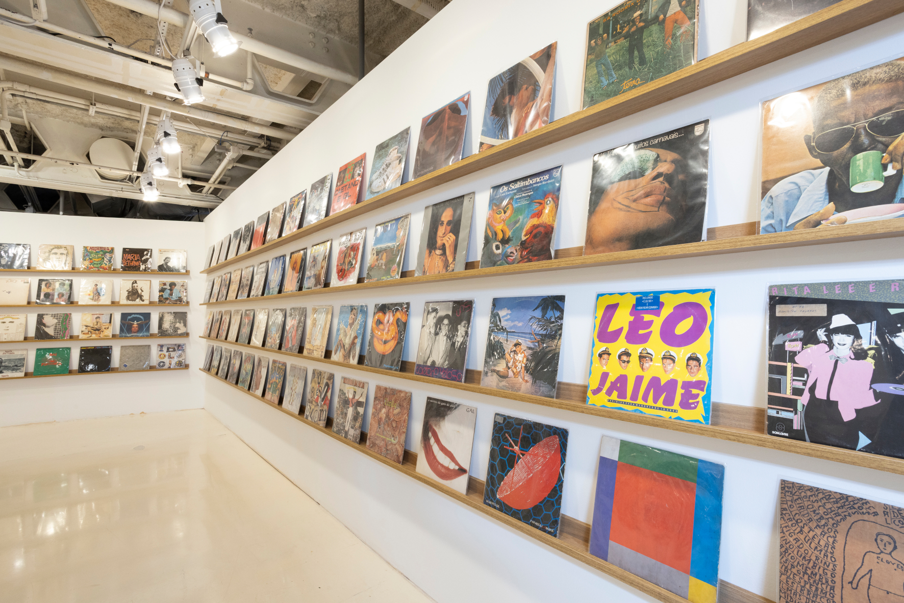 IntroduçãoHistóriaArteBrasileira_foto Lucas Nave_Grupophoto - Capas de Disco