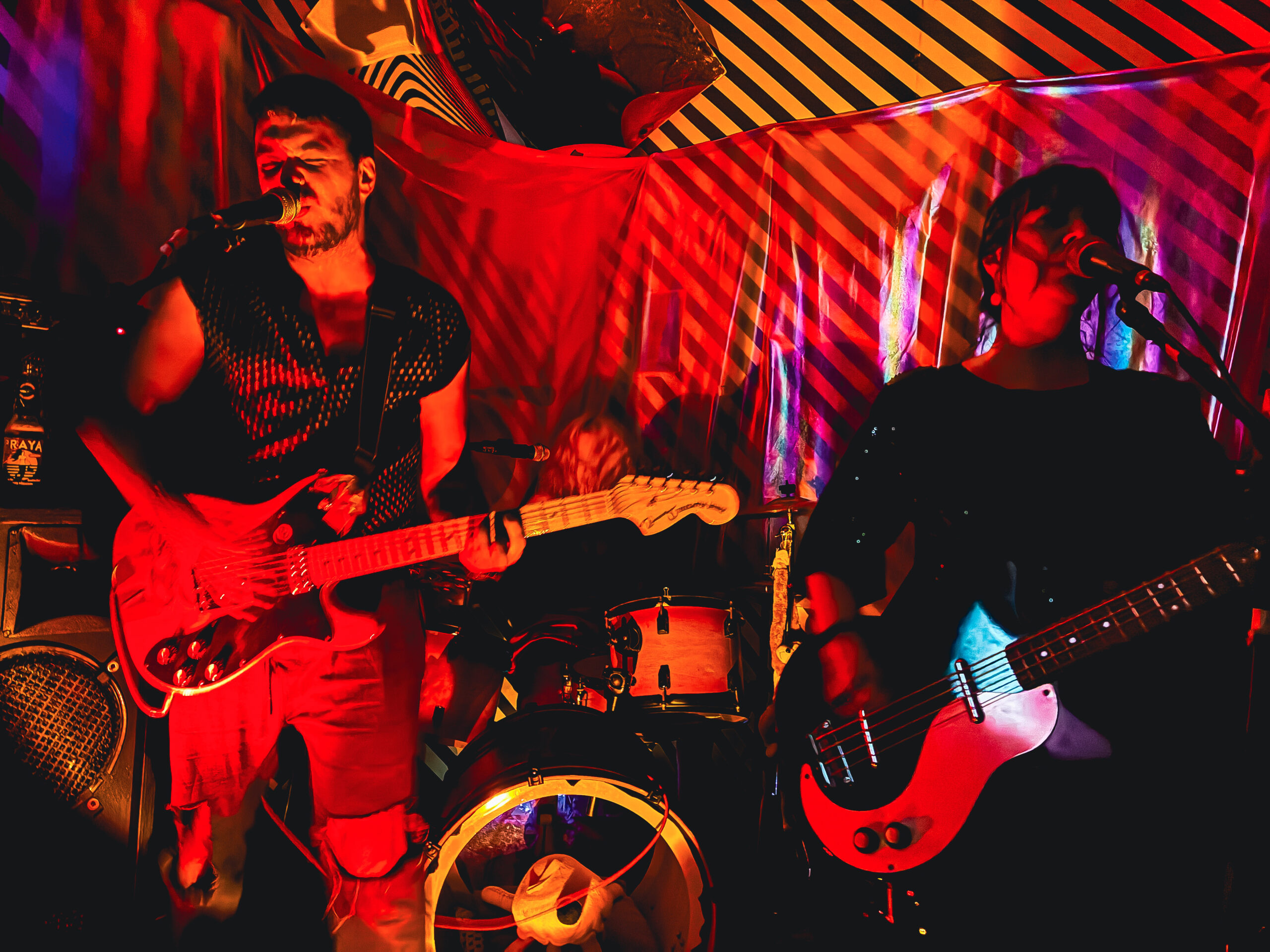 Banda paulistana Wilza, Grunge, Noise Rock, Indie Rock