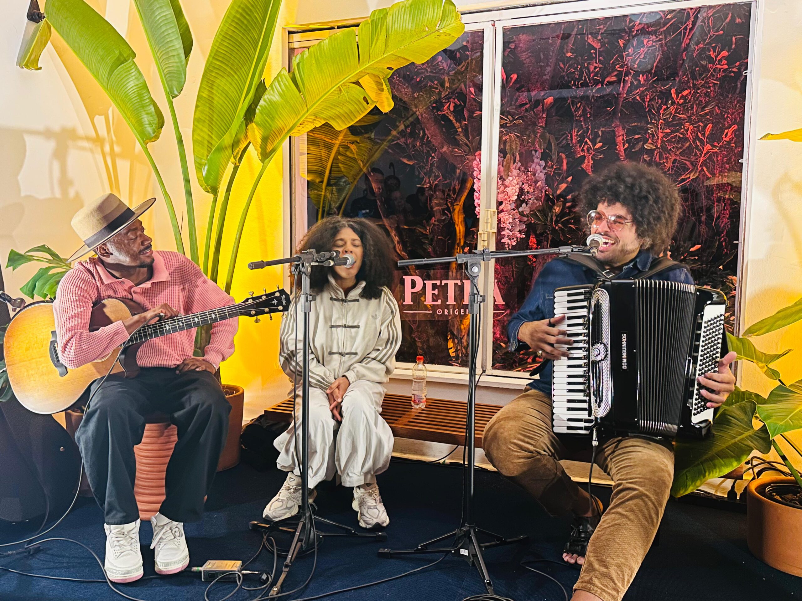 Edital Petra Zuca - A Casa da Música Brasileira - Jotapê, Josyara e Mestrinho